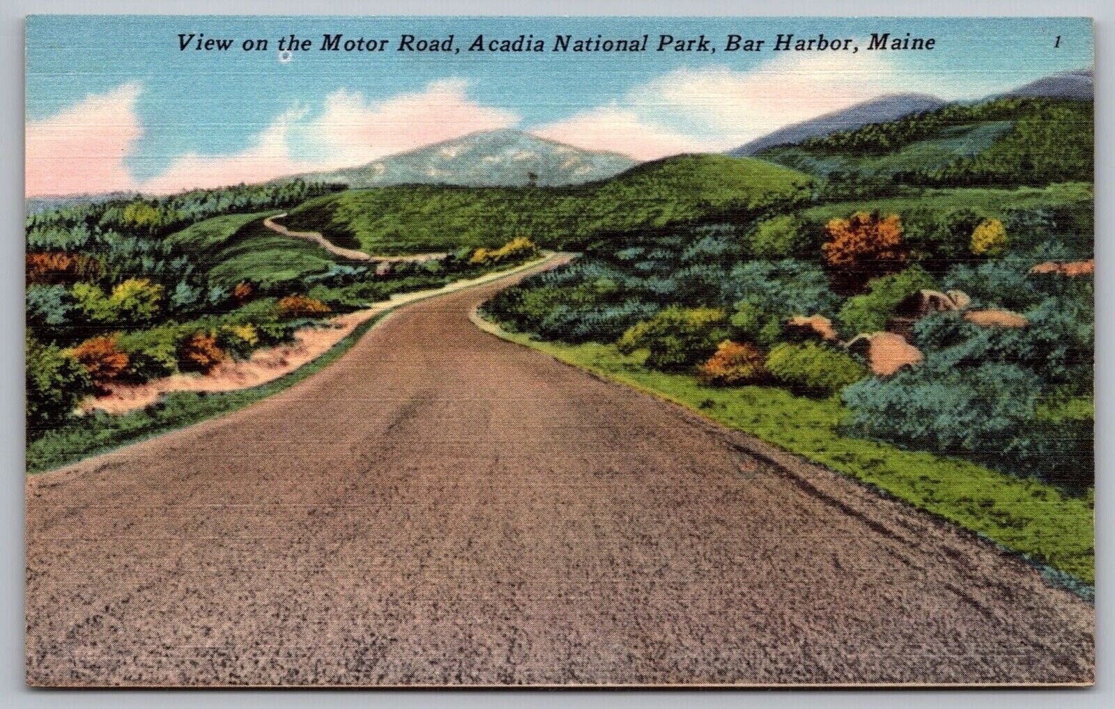 Motor Road Acadia National Park Bar Harbor Miand Country Road Mountain Postcard