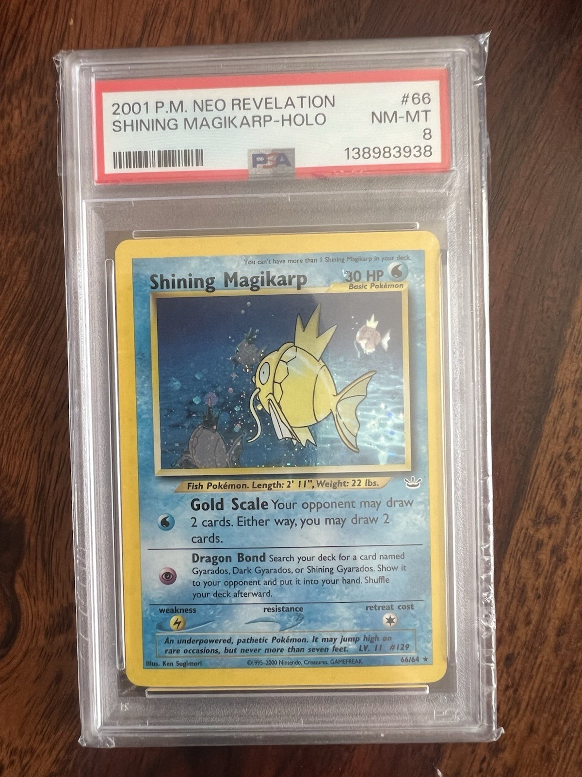 Pokémon Neo Revelation Shining Magikarp Holo 66/64 PSA 8 English 2001