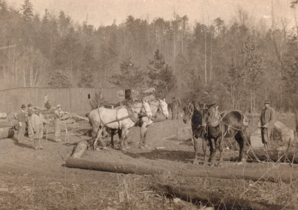 Polk County TN Conasauga Lumber Logging Camp Workers RPPC Real Photo Postcard