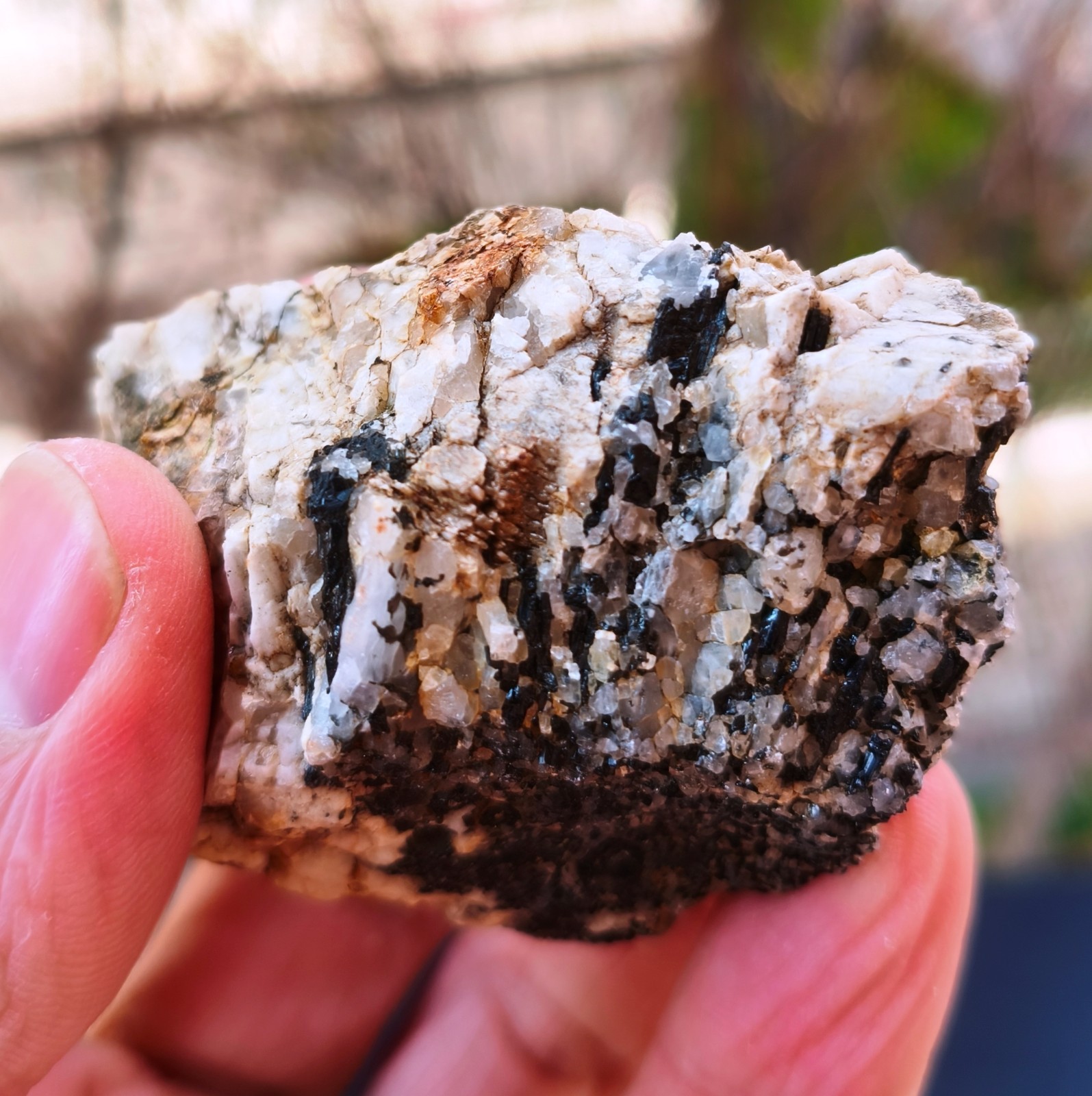 Black Tourmaline On Pegmatite Rock