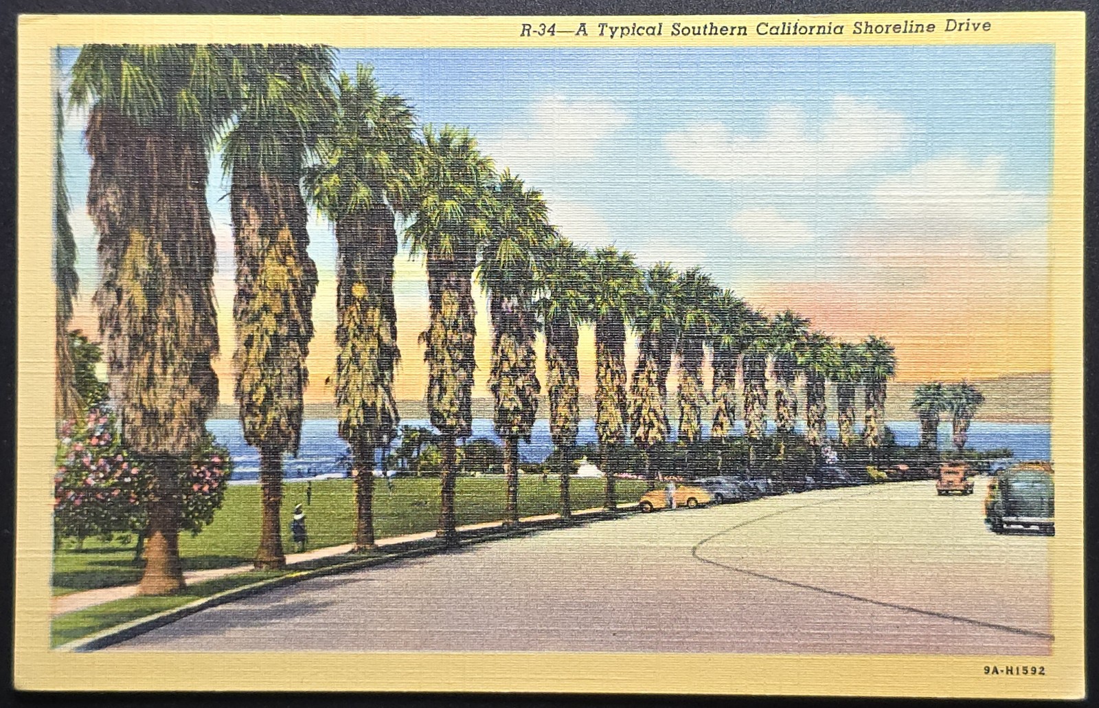 Typical Southern California Shoreline Drive Palm Trees 1940s - Postcard