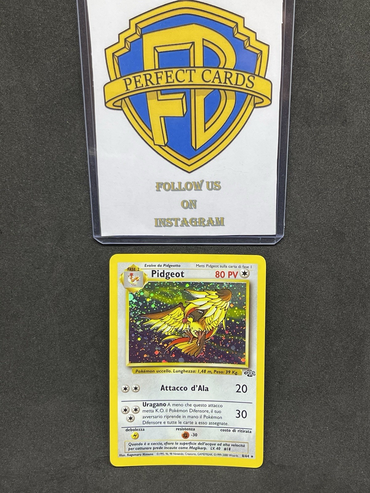 POKÉMON JUNGLE UNLIMITED PIDGEOT HOLO 8/64 NM ITA
