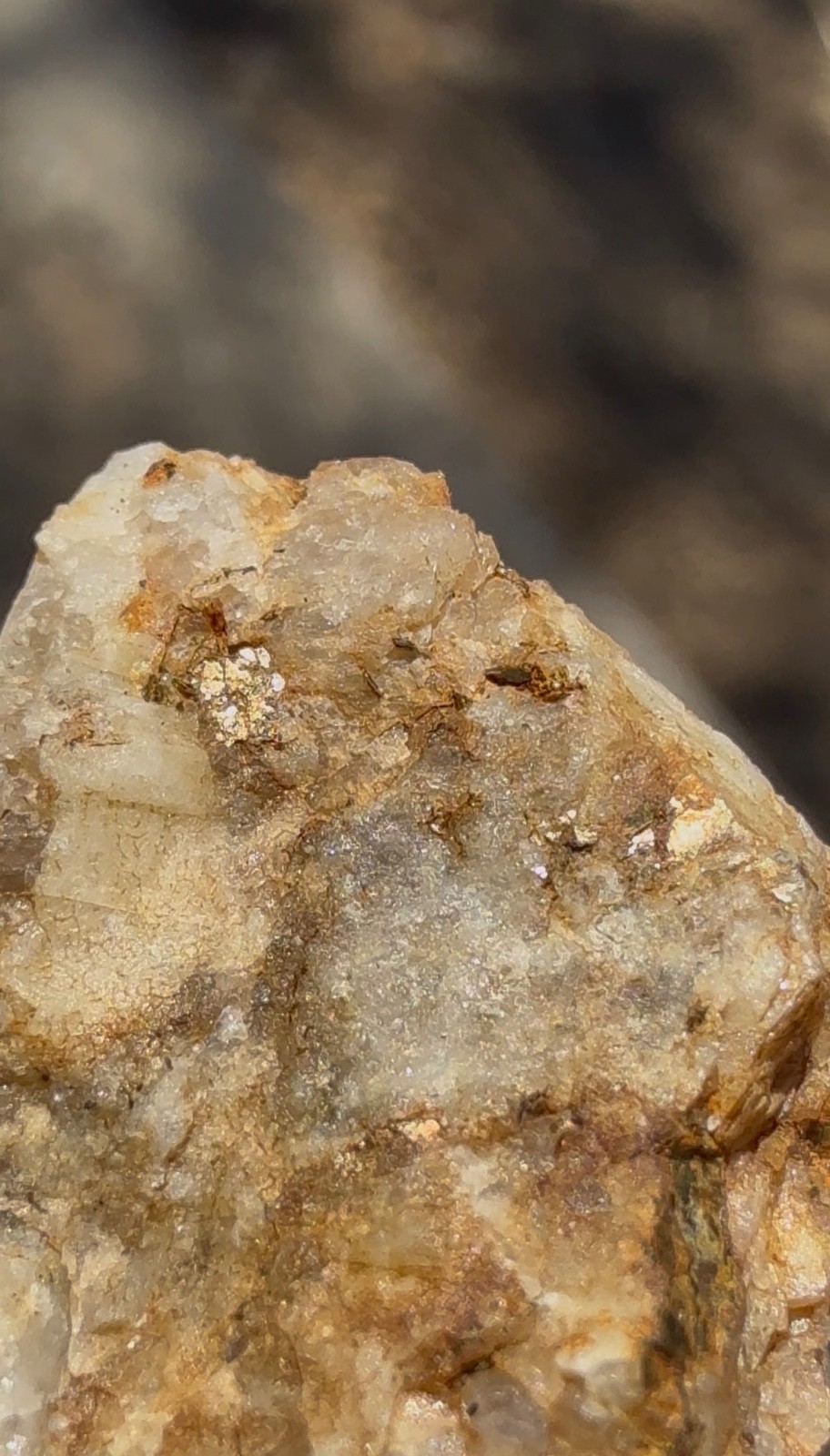 Gold Bearing Quartz Ore Specimen 8g Visible Metallic California Natural Rough Au