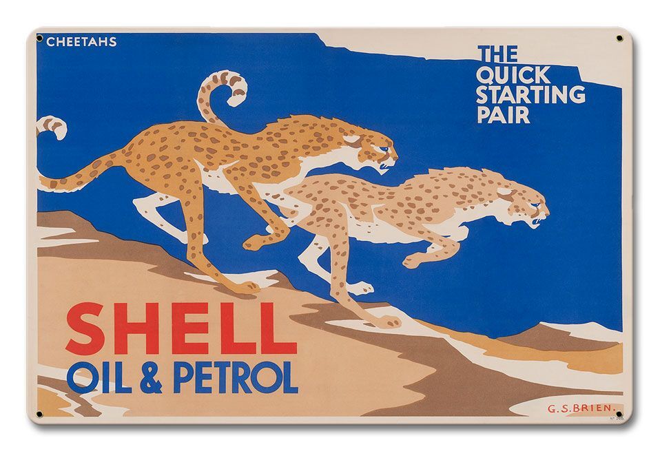 SHELL QUICK STARTING PAIR CHEETAHS CATS 18
