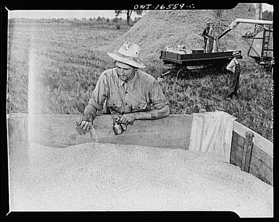 Photo:Jackson Michigan 1910s Wheat Threshing Machine Harvest Farm Worker
