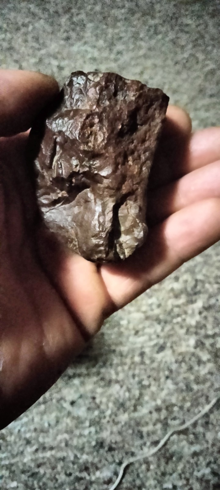 Very Unique Mammoth Effigy Stone With Faces.