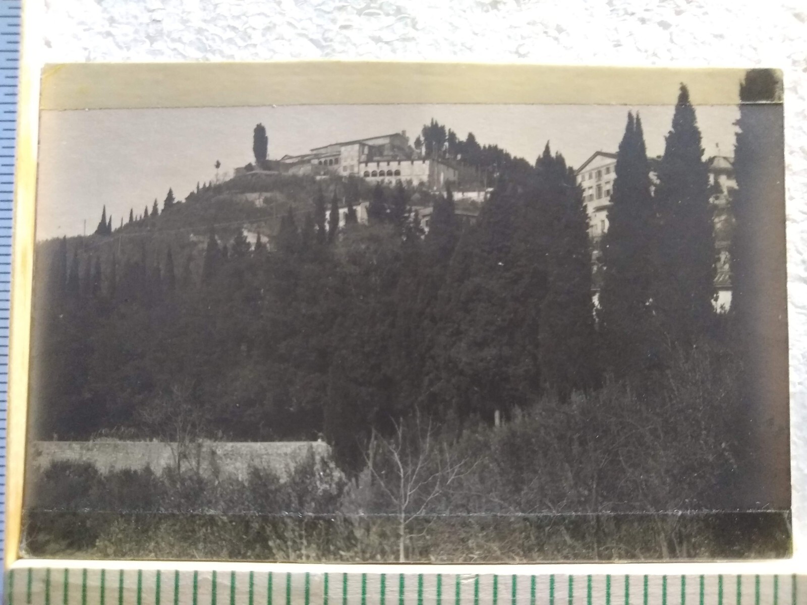 Postcard Buildings on Tree-Covered Hill With Tower and Distant Mountain View