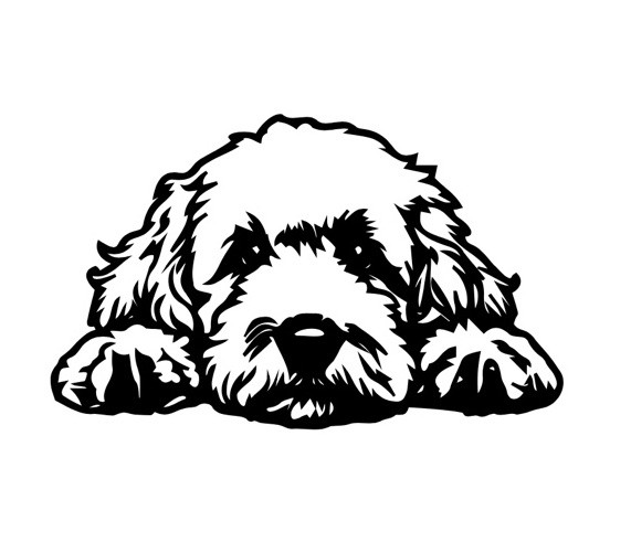 New Labradoodle Puppy Dog Decal Sticker Black or White Vinyl Handmade Car 4”