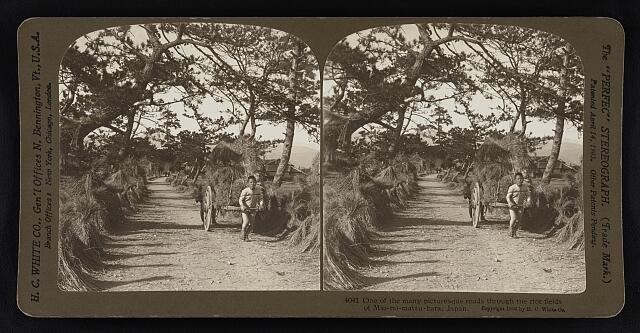 Mio-no-matsu-bara Japan 1906 Rice Field Road Stereograph Cart Path Fans
