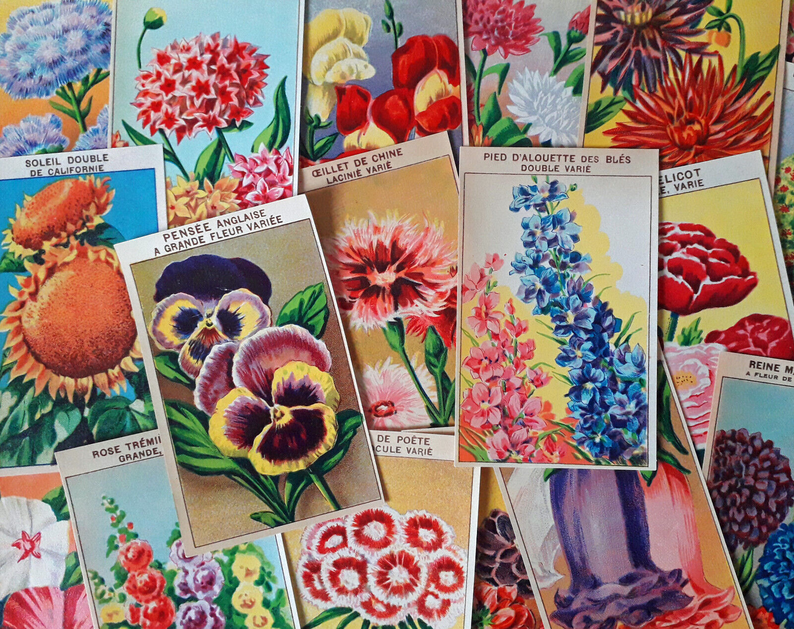 72 FLOWER Seed Packet Labels vintage French botanical prints
