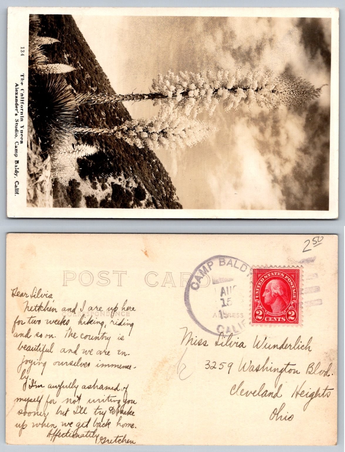RPPC California Yucca Postcard Camp Baldy Mountain Landscape AUG 15 1920s