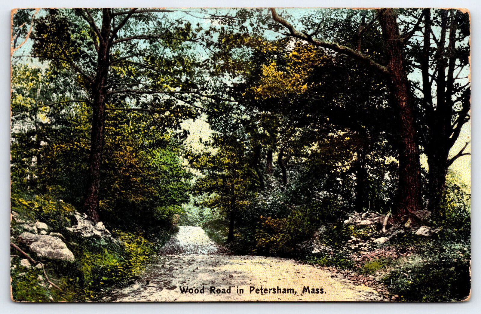 Petersham MA-Massachusetts, Wood Road, Landscape, Vintage Antique Postcard