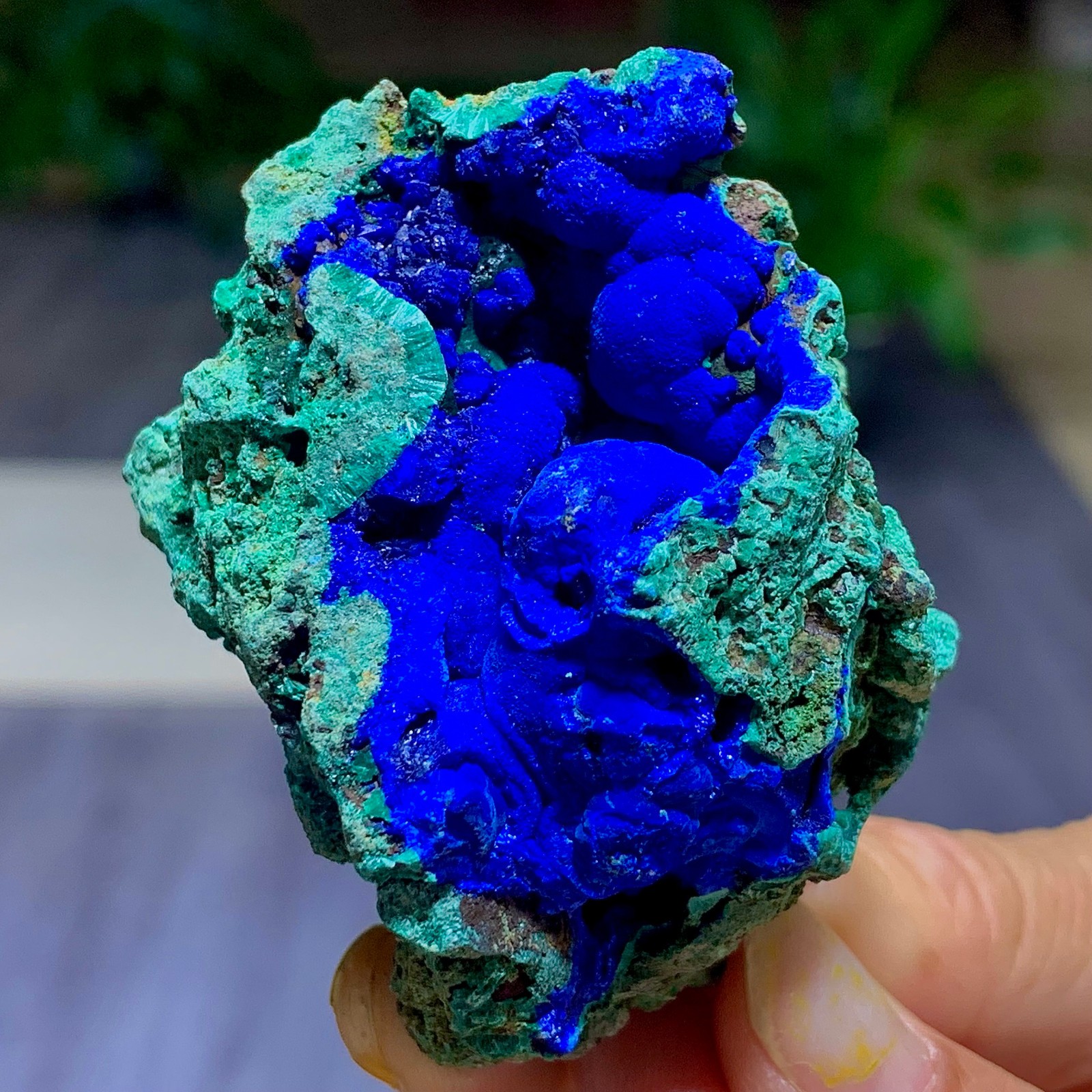 108G BEST Natural Azurite/Malachite crystal minerals specimens