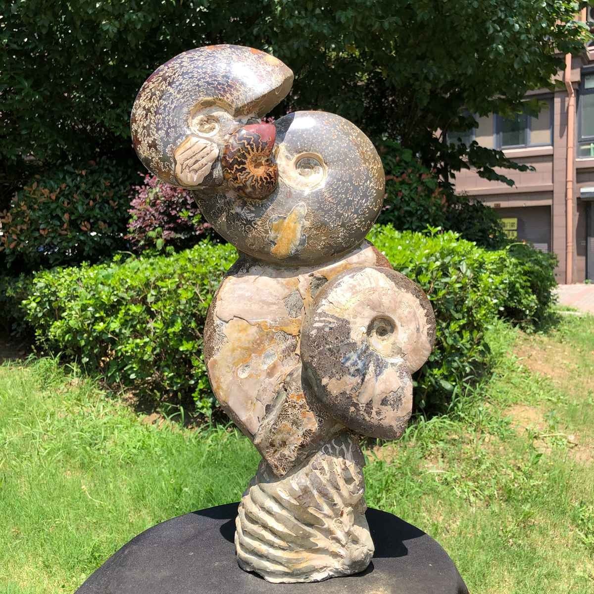 19.16LB Natural Beautiful Ammonite Fossil Conch Crystal Specimen Healing 6279