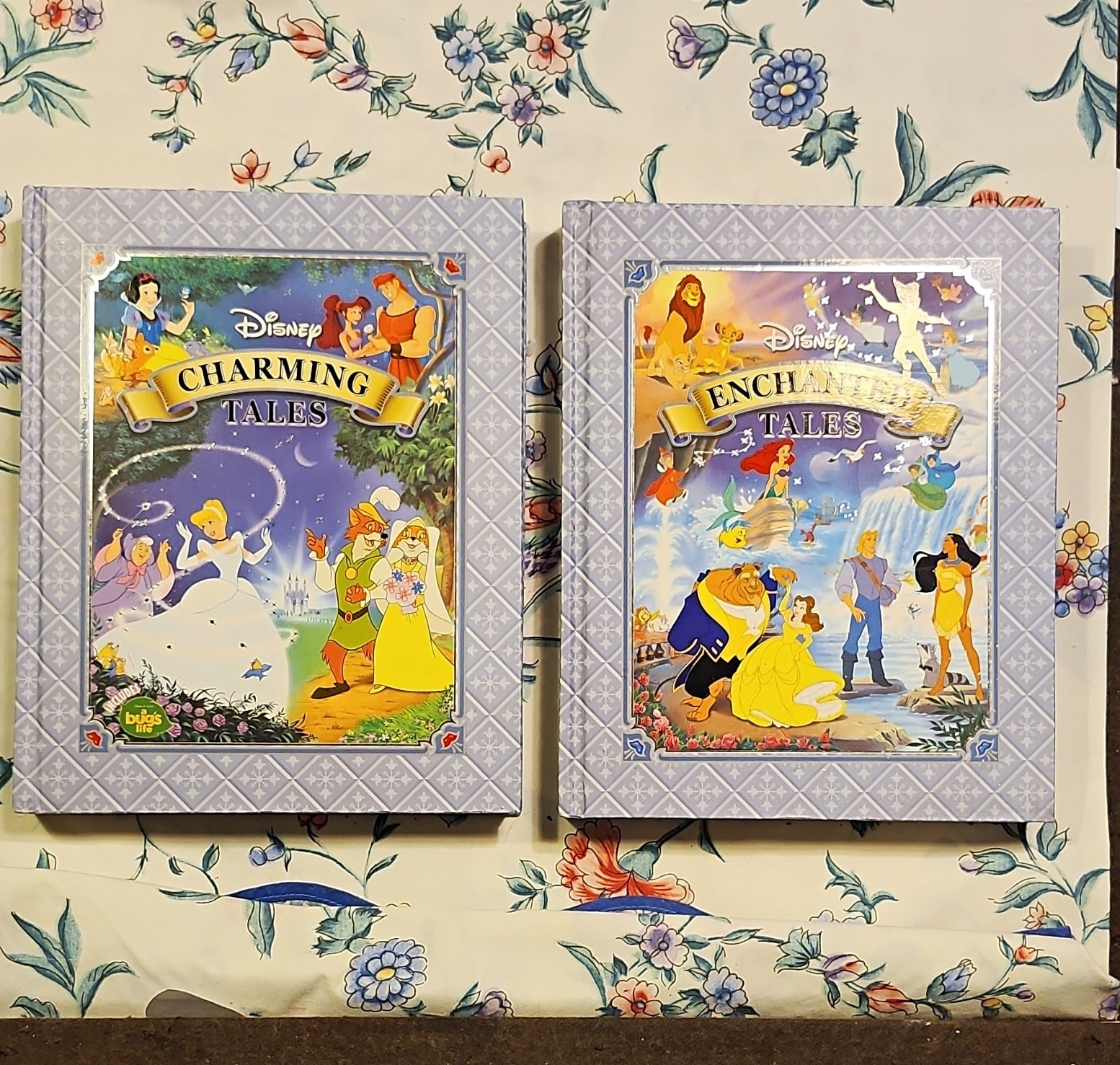 Disney Charming Tales & Enchanted Tales Hardcover Book Set - Disney Franchise