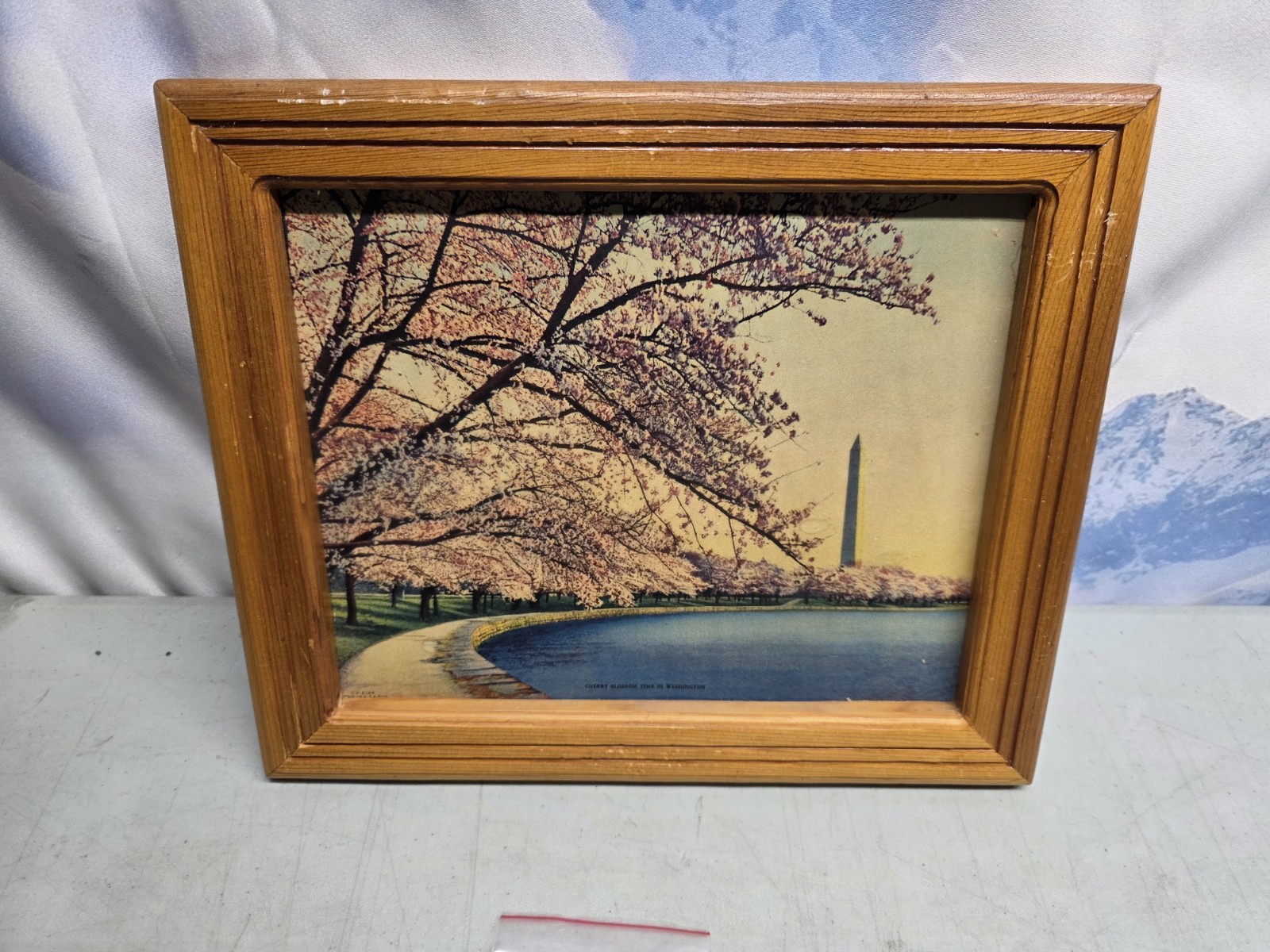 🔥 Vintage 1960s Cherry Blossom Time In Washington DC Litho 6144 12x10 Framed
