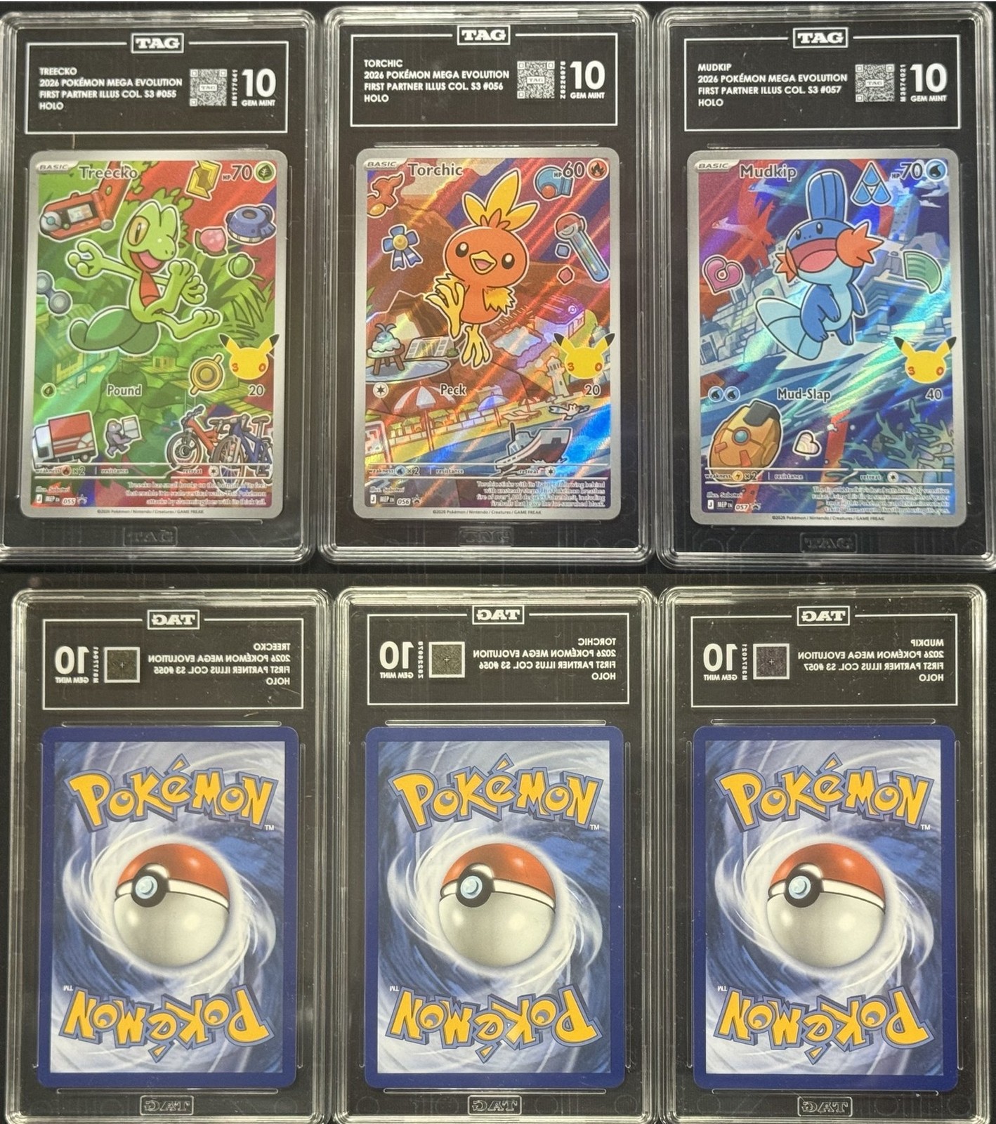 Treecko Torchic Mudkip  Pokemon First Partner Series 3 3x Lot All Tag 10 PSA #