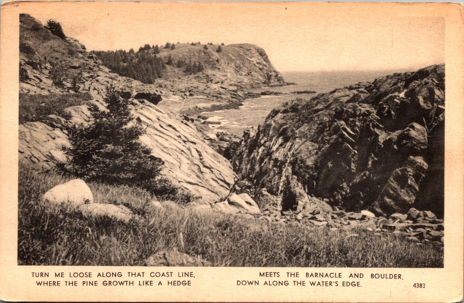 1952 Maine Coastline Seascape Postcard American Art Postcard Co.
