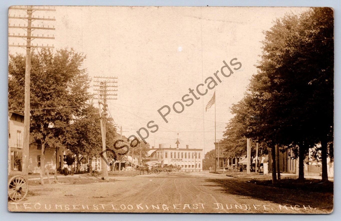 JH23/ Dundee Michigan RPPC Postcard c1910 Tecumseh St Stores Homes 145