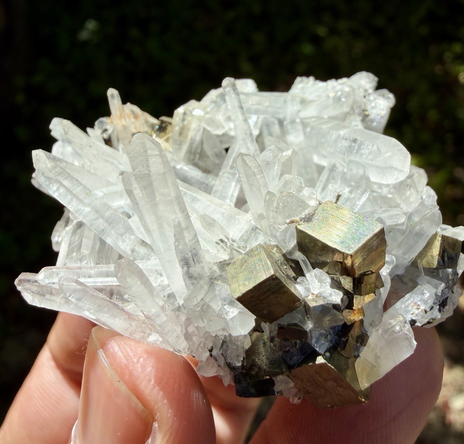 Rare Pyrite On Quartz From Peru , 6cm, 40gm