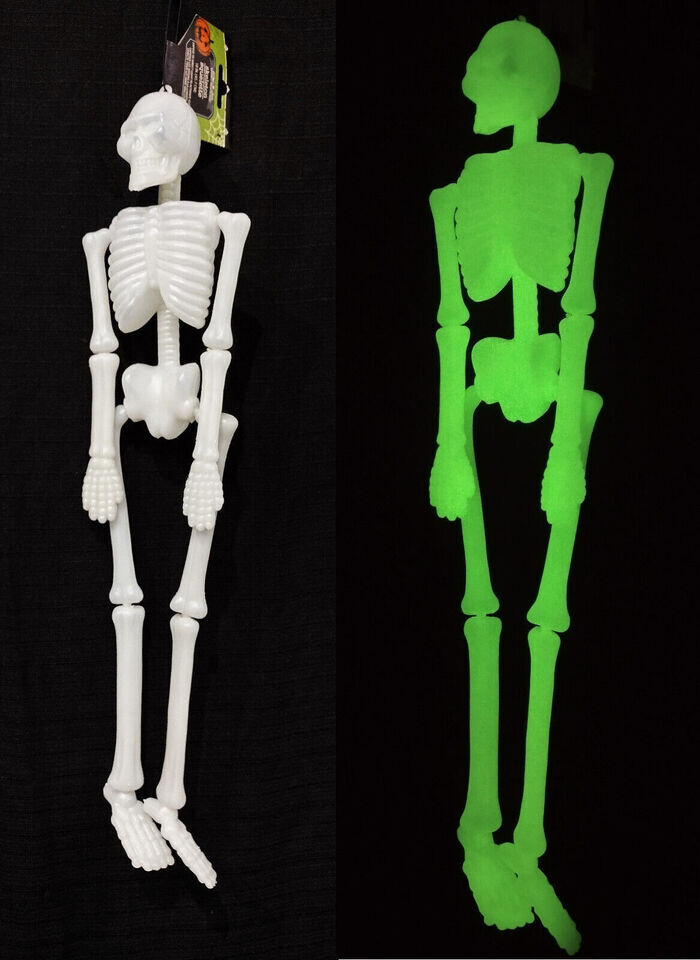 Glow In The Dark 18 inch Skeleton Realistic Scary  Decoration