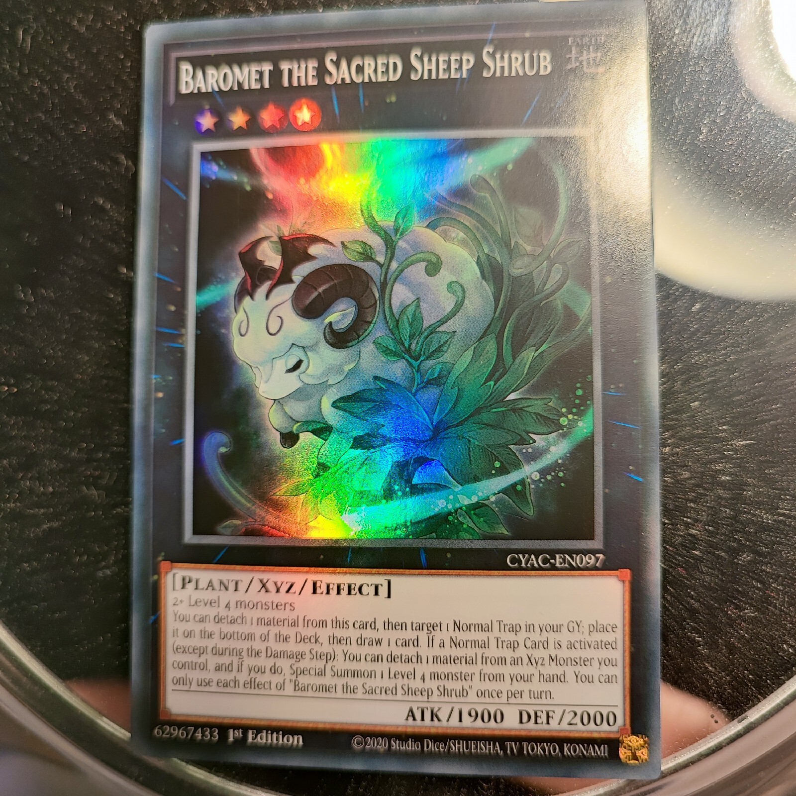 Cyac En097 Baromet the Sacred Sheep Bush Yu-Gi-Oh 1st Edition. 