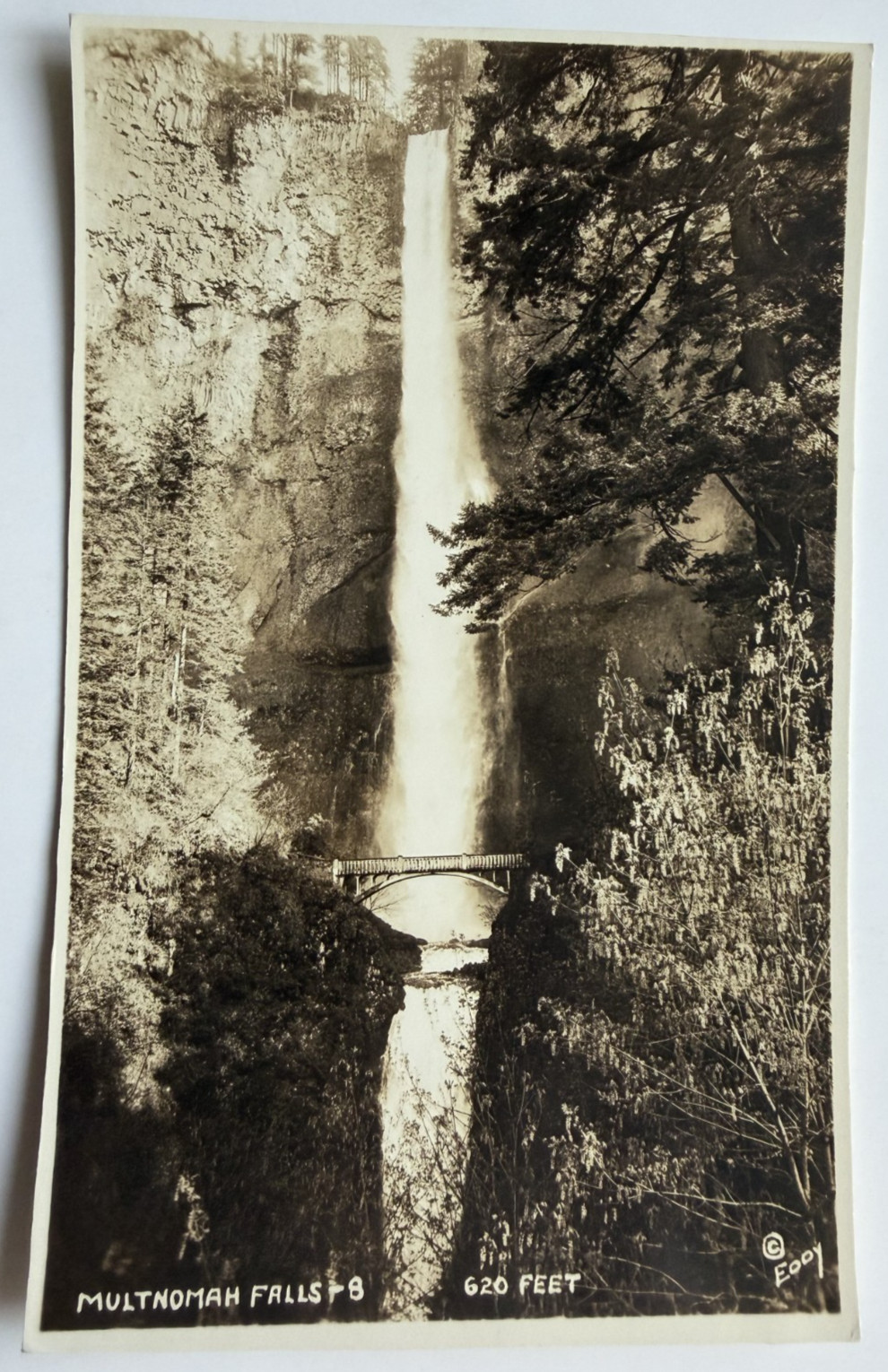 c1930s RPPC Multnomah Falls Oregon 620 Feet Benson Bridge Postcard Eddy Photo
