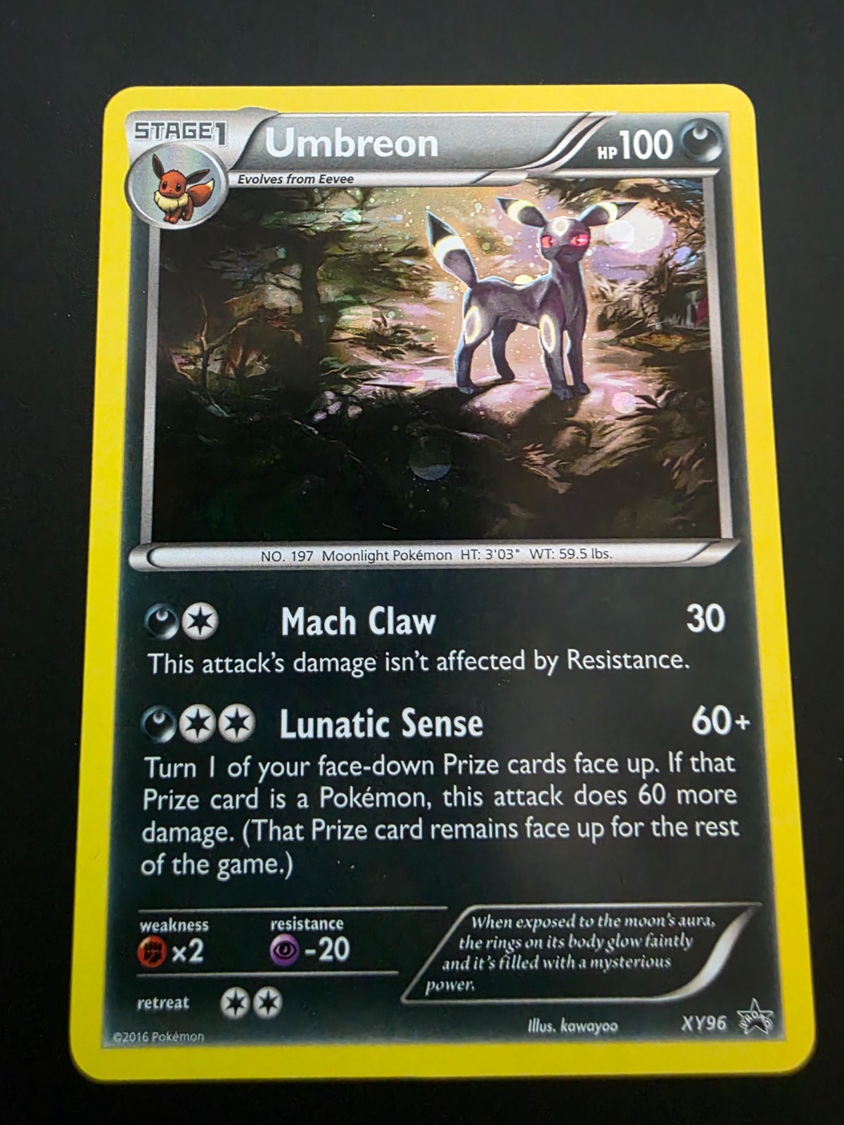 Umbreon  XY96 - Holo Promo XY - Pokemon