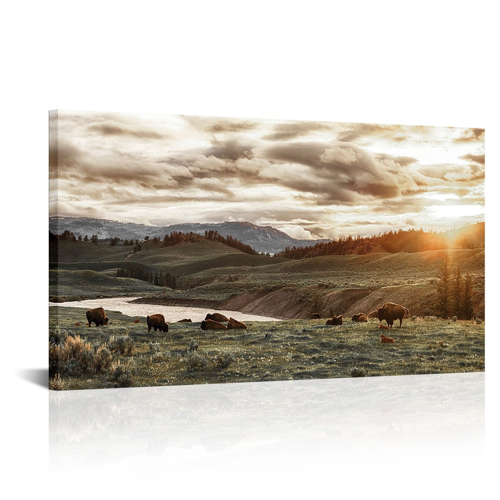 RnnJoile Buffalo Canvas Wall Art Large Herd of Bison Picture Painting Yellows...