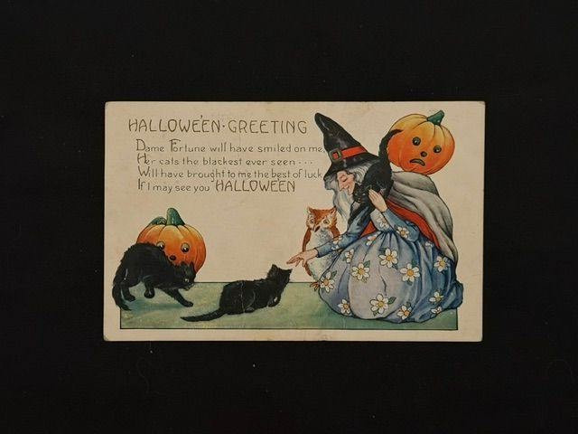 Vintage Halloween Postcard 1908 Witch Black Cats Jack-O\'-Lanterns Waterloo IA