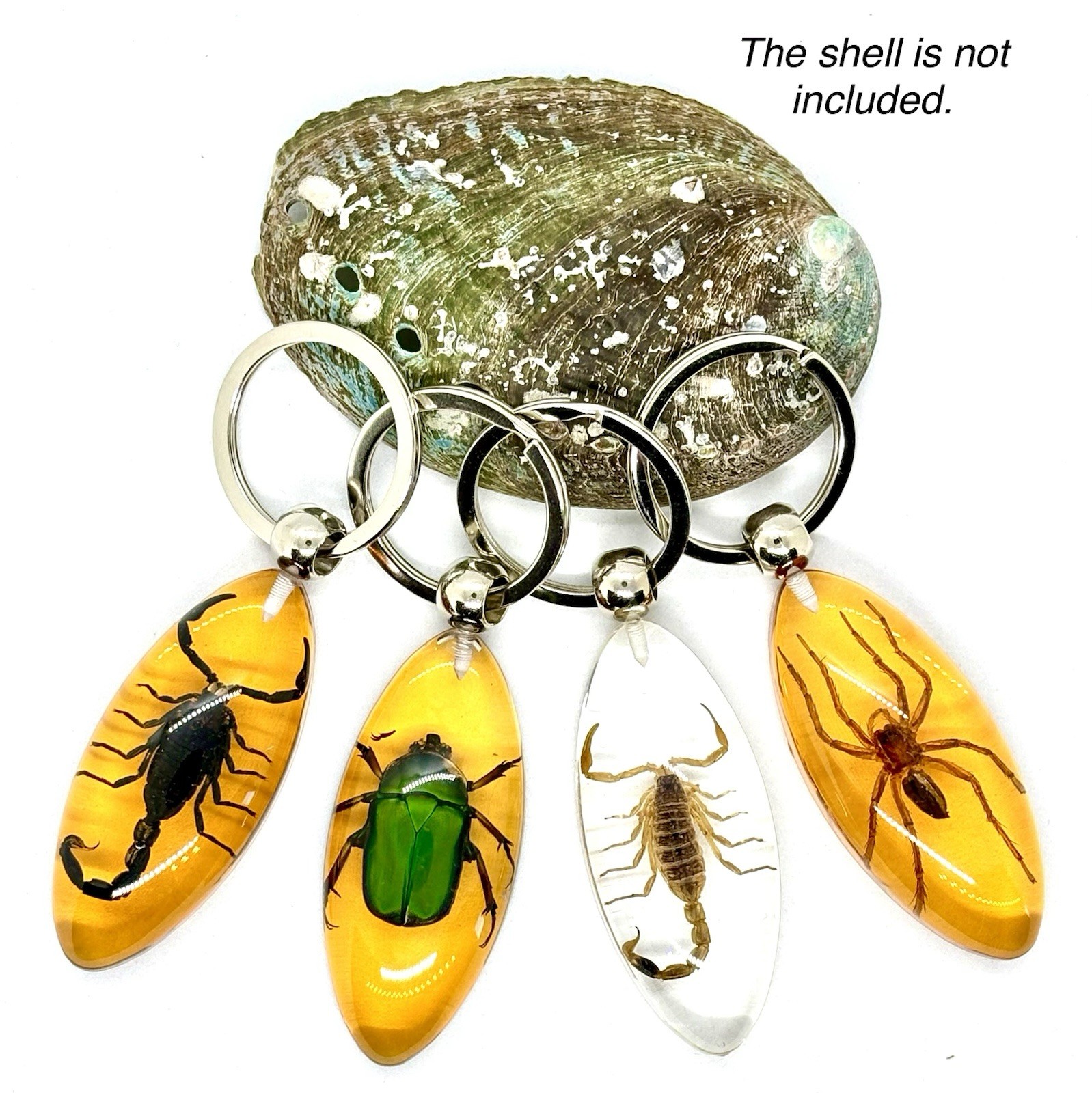 Real Insects in Resin Specimen Key Chains Ornament Collection 4 pcs