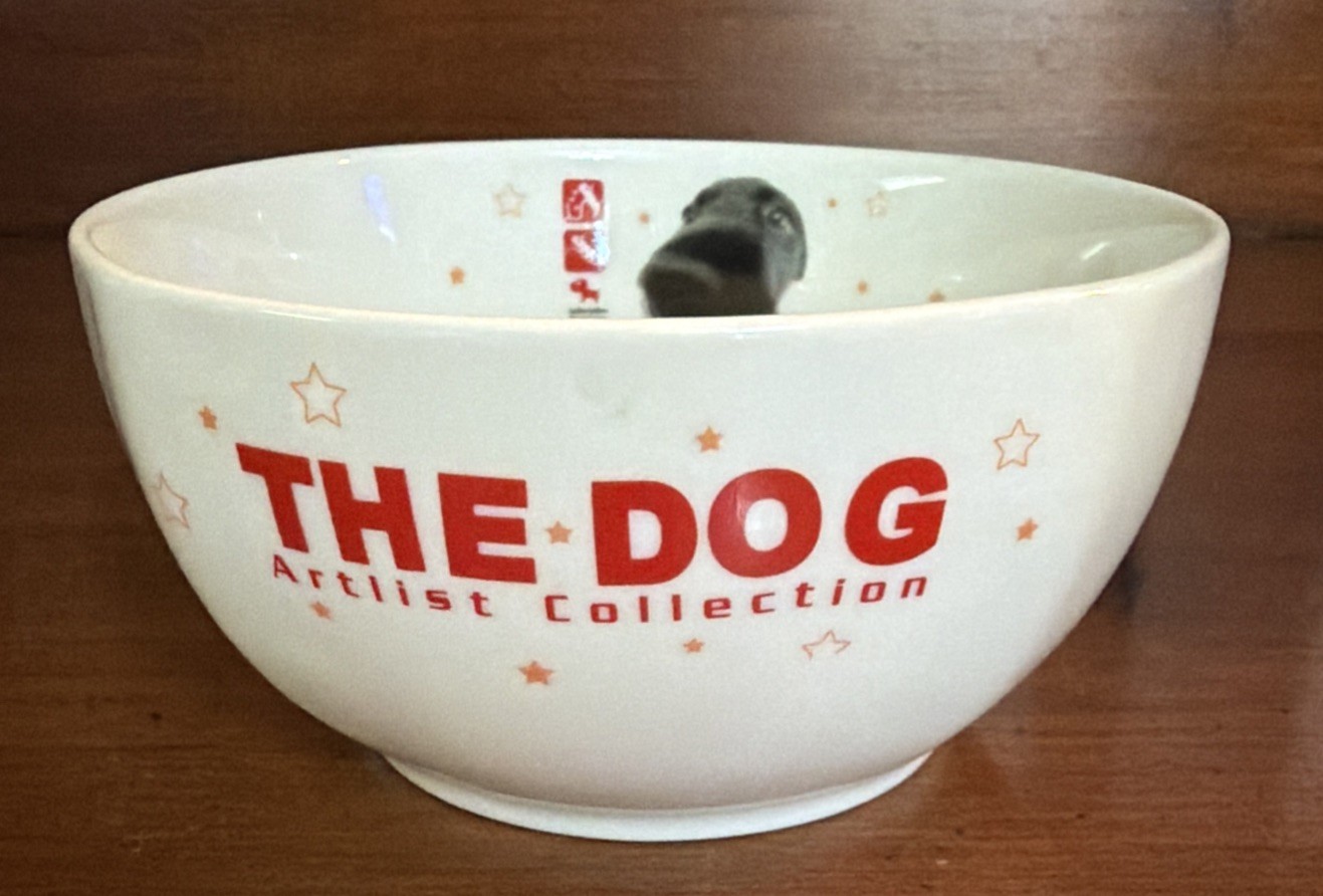 Y2K Vtg Artist Collection The Dog Black Lab Retriever Ceramic Big Nose Bowl