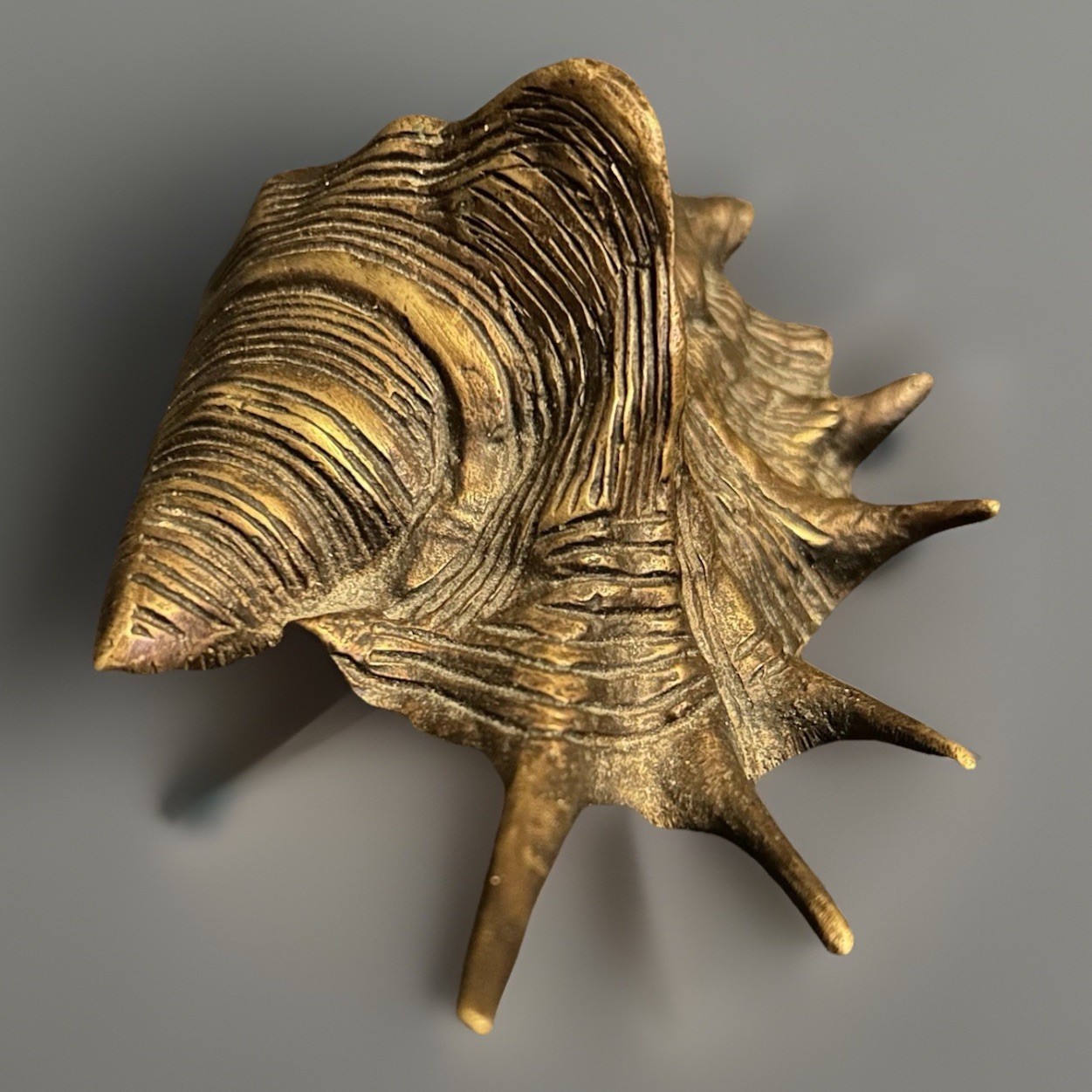 Vintage Bronze Finish Spider Conch Seashell 6.75” Long