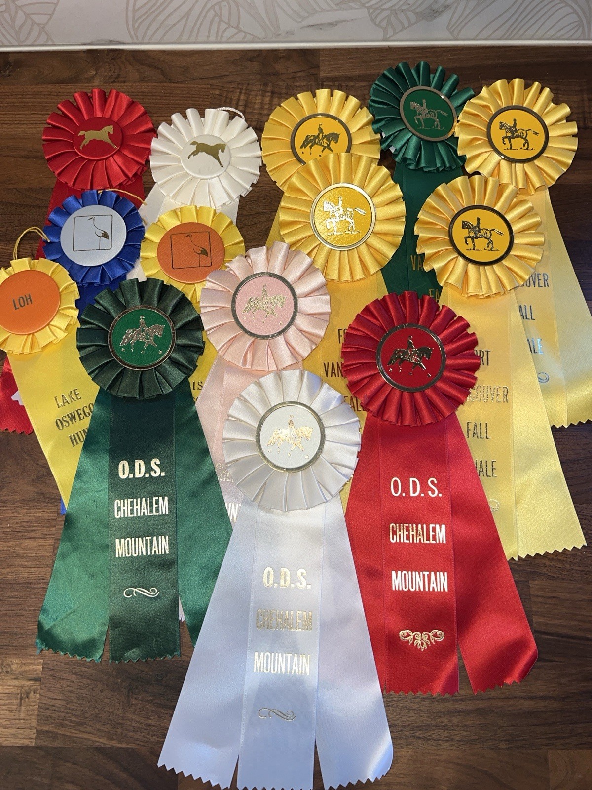 14 Different Vintage Horse & Pony Show 90s Rosette Ribbons Dressage Oregon WA