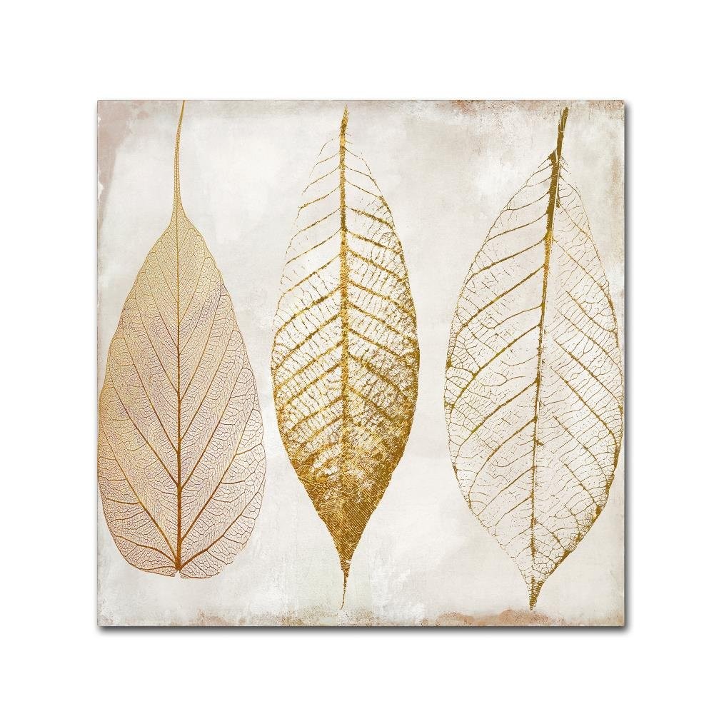 Fallen Gold Ornate Frame II by Color Bakery 35x35-Inch Canvas Wall Art