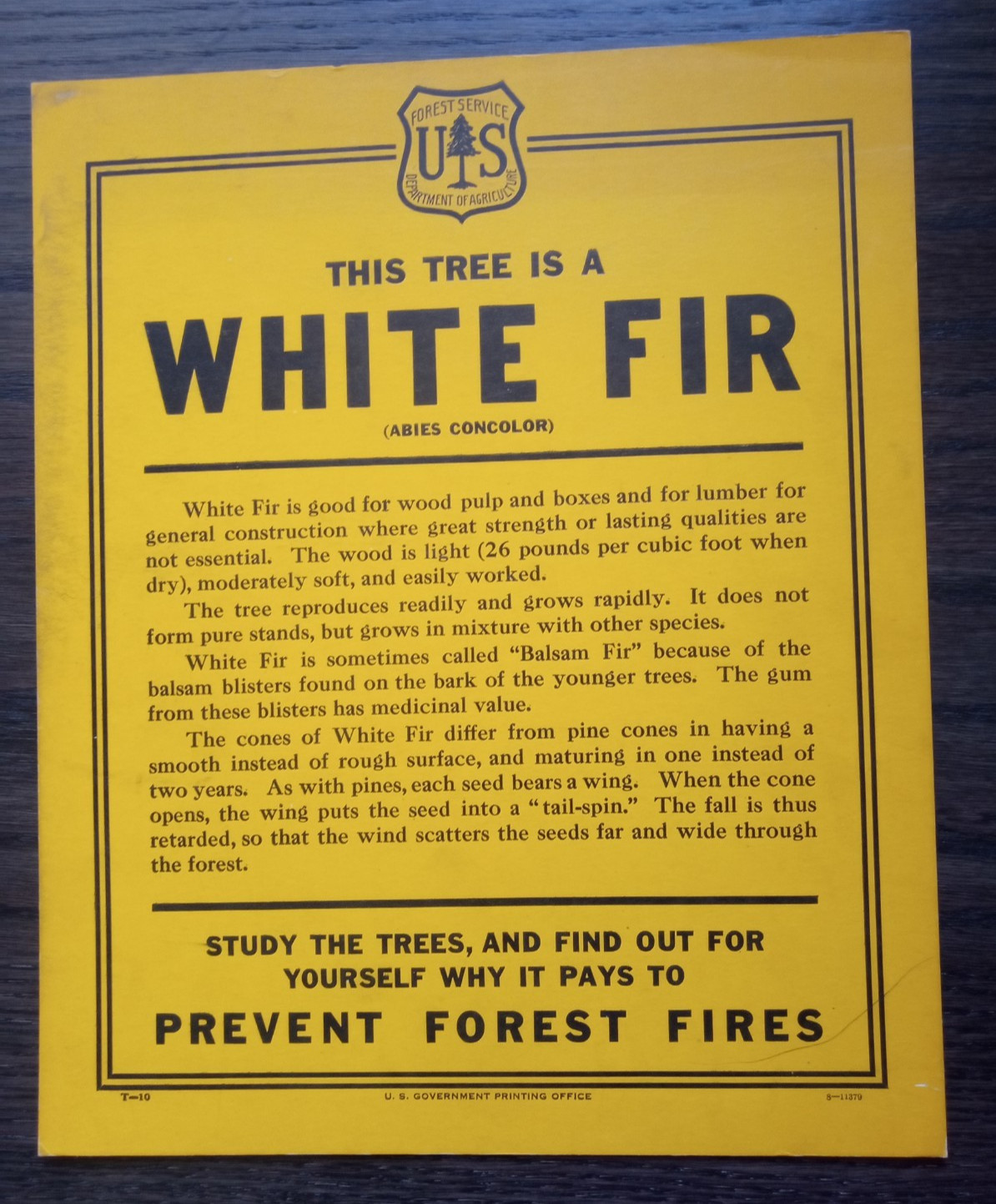 Vintage National Forest Service Paper Sign 