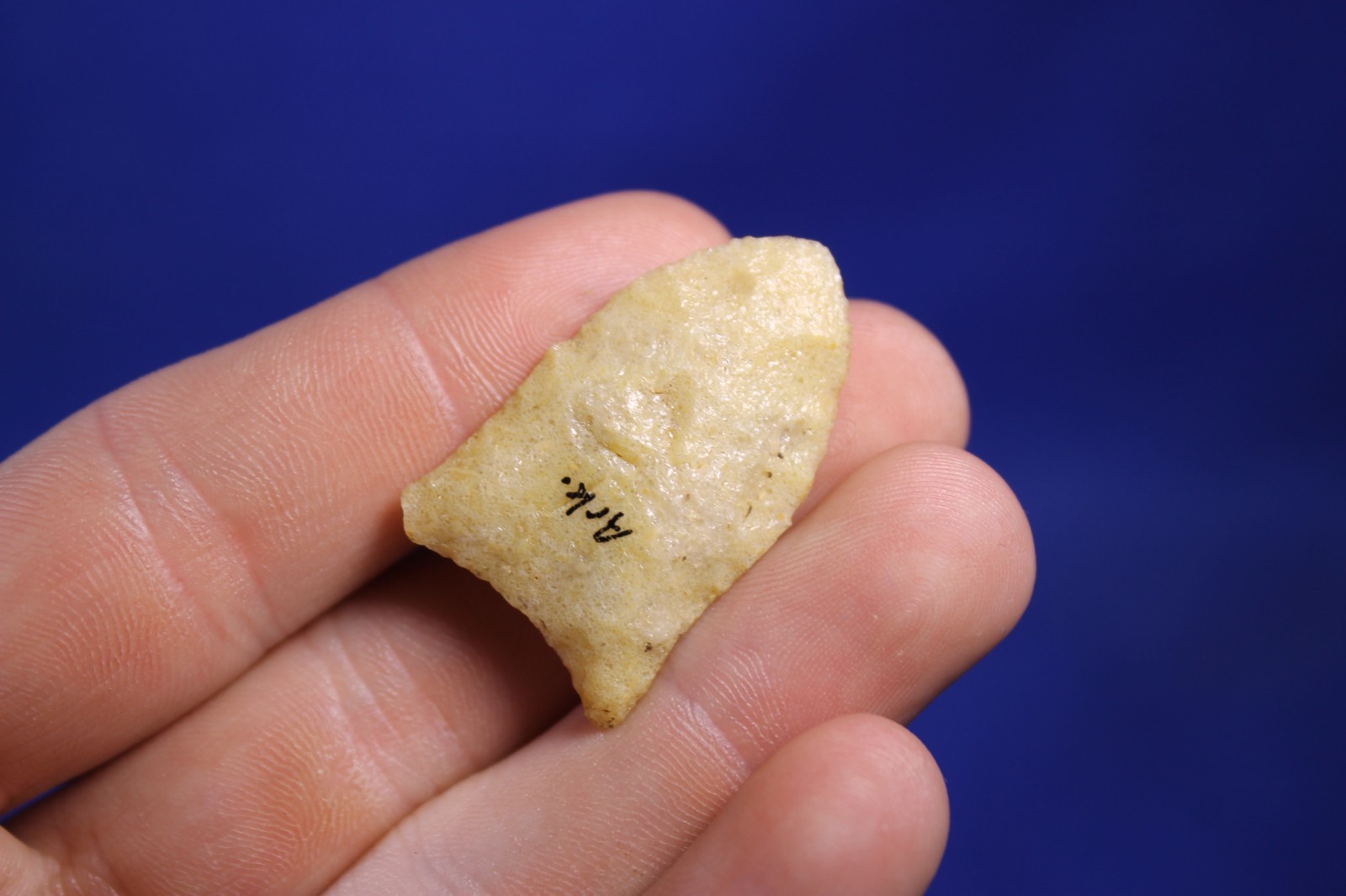 Authentic Prehistoric Arkabutla Arrowhead Artifact Native American Indian