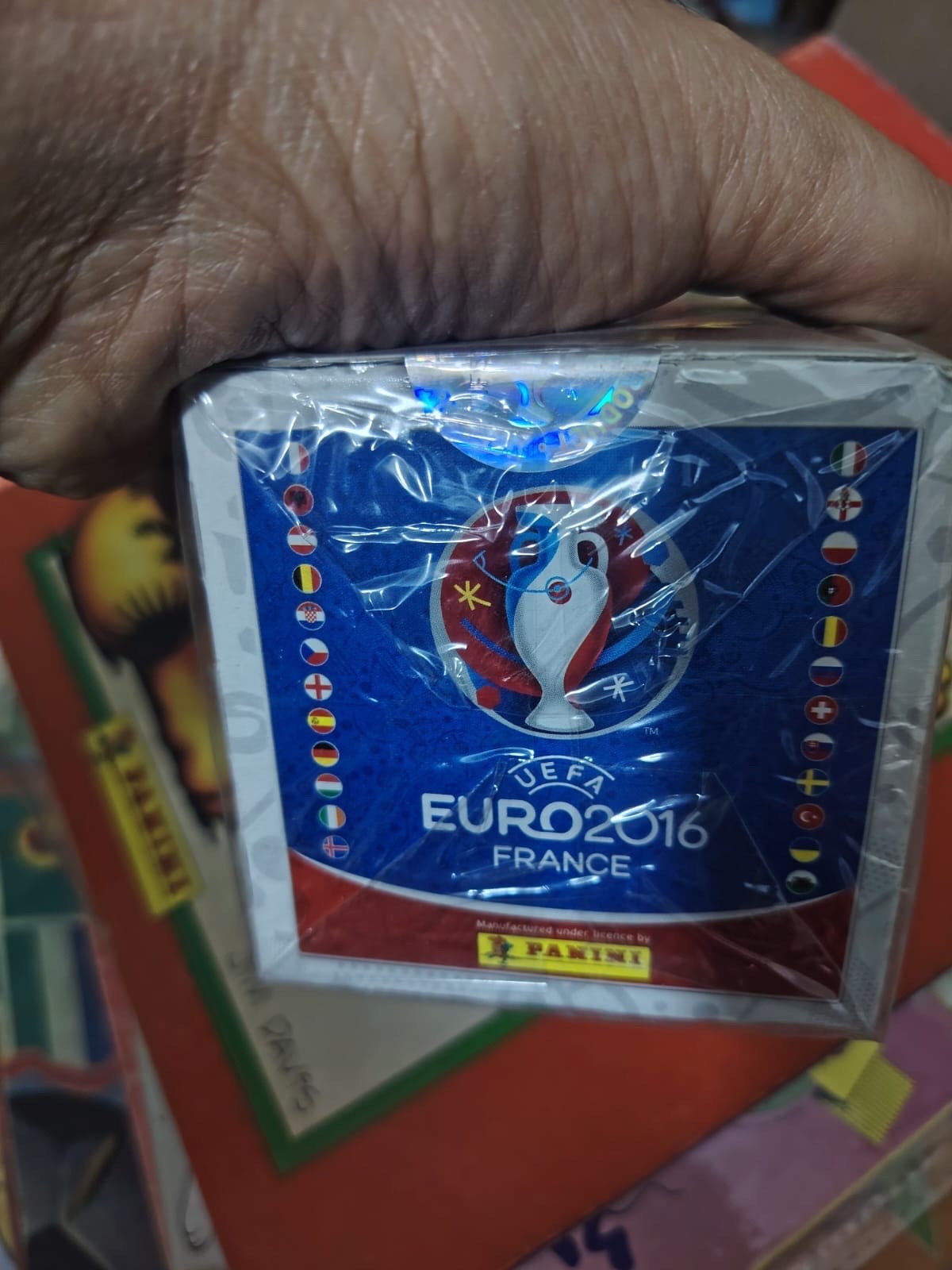 Euro 2016 panini box