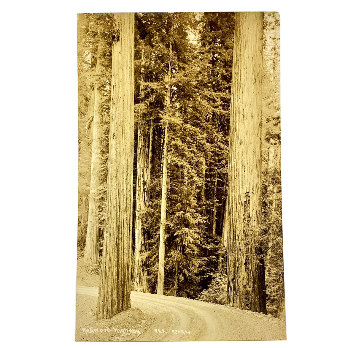 Patterson RPPC Postcard 923 A Bend in the Redwood Highway CA, Posted 1930