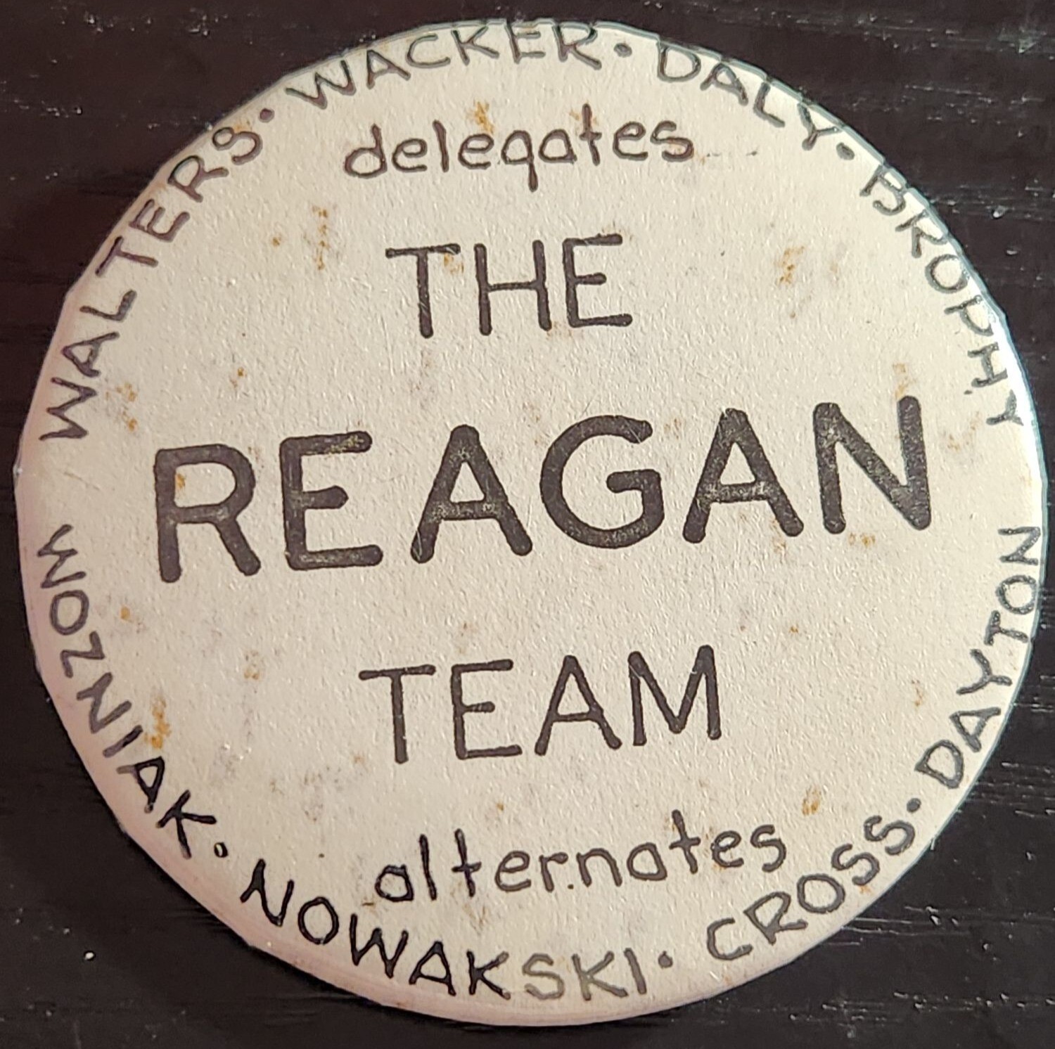 Vintage Political Campaign Pin \