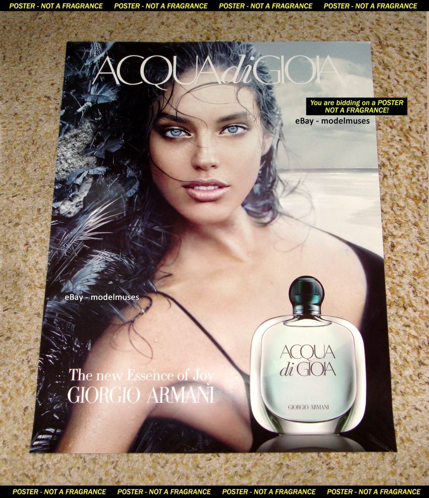 GIORGIO ARMANI Women\'s Fragrance POSTER Emily DiDonato - 22\
