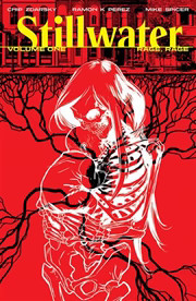 STILLWATER BY ZDARSKY & PEREZ TP VOL 01 (MR)