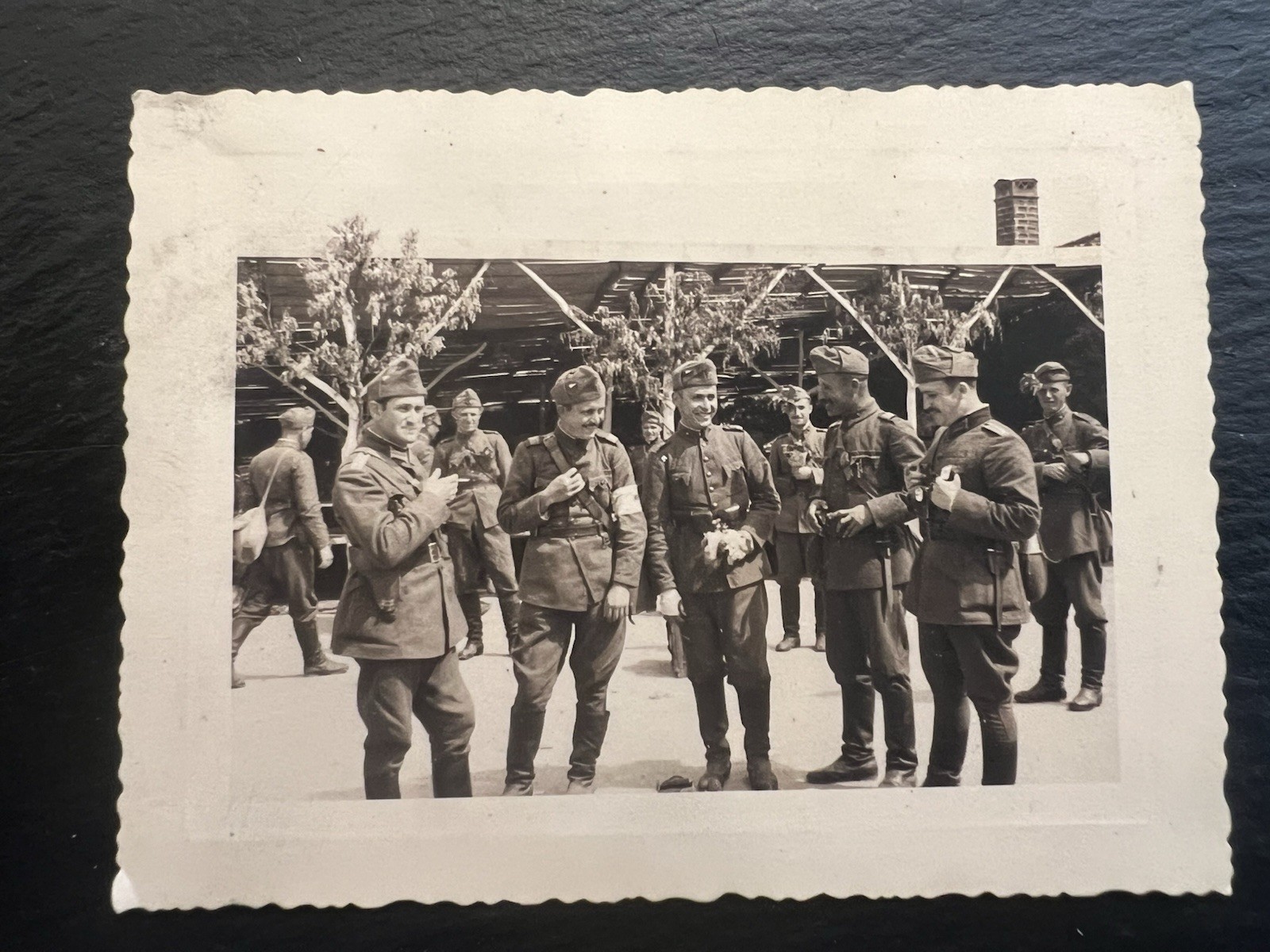 Vintage WWII Photo Bulgarian Soldiers Officers Camp Uniforms 