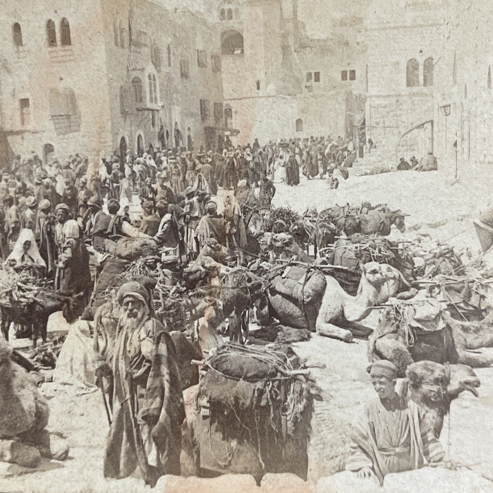 Bethlehem Stereoview Underwood & Underwood 1900 Palestine Camels
