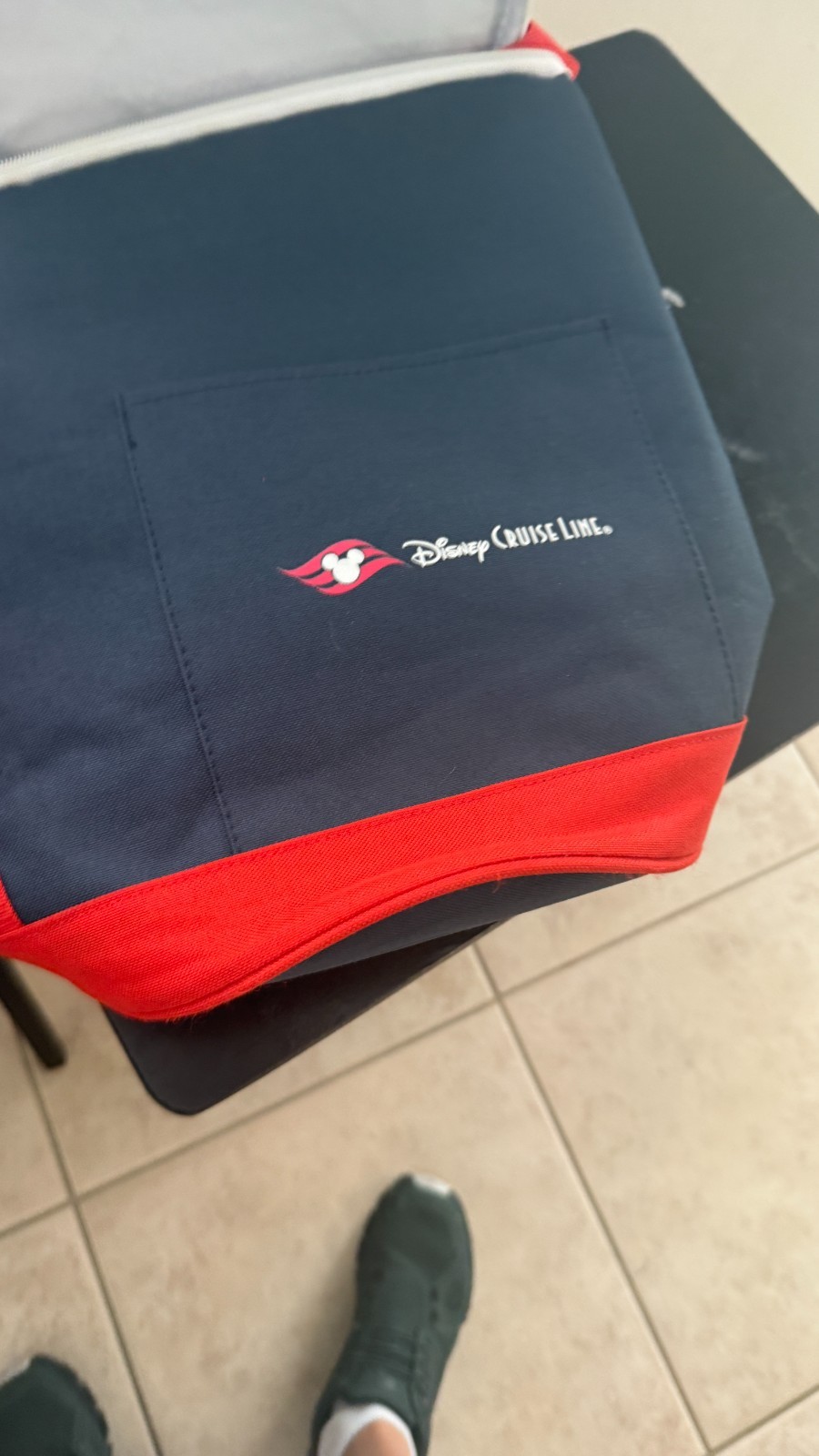 Disney Cruise cooler bag for drinks great condition comes with 2 bags