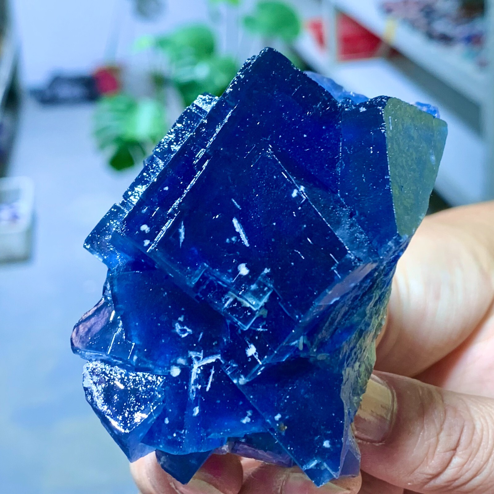 249G Natural Crystal Rare transparent Blue cubic fluorite mineral sample/China