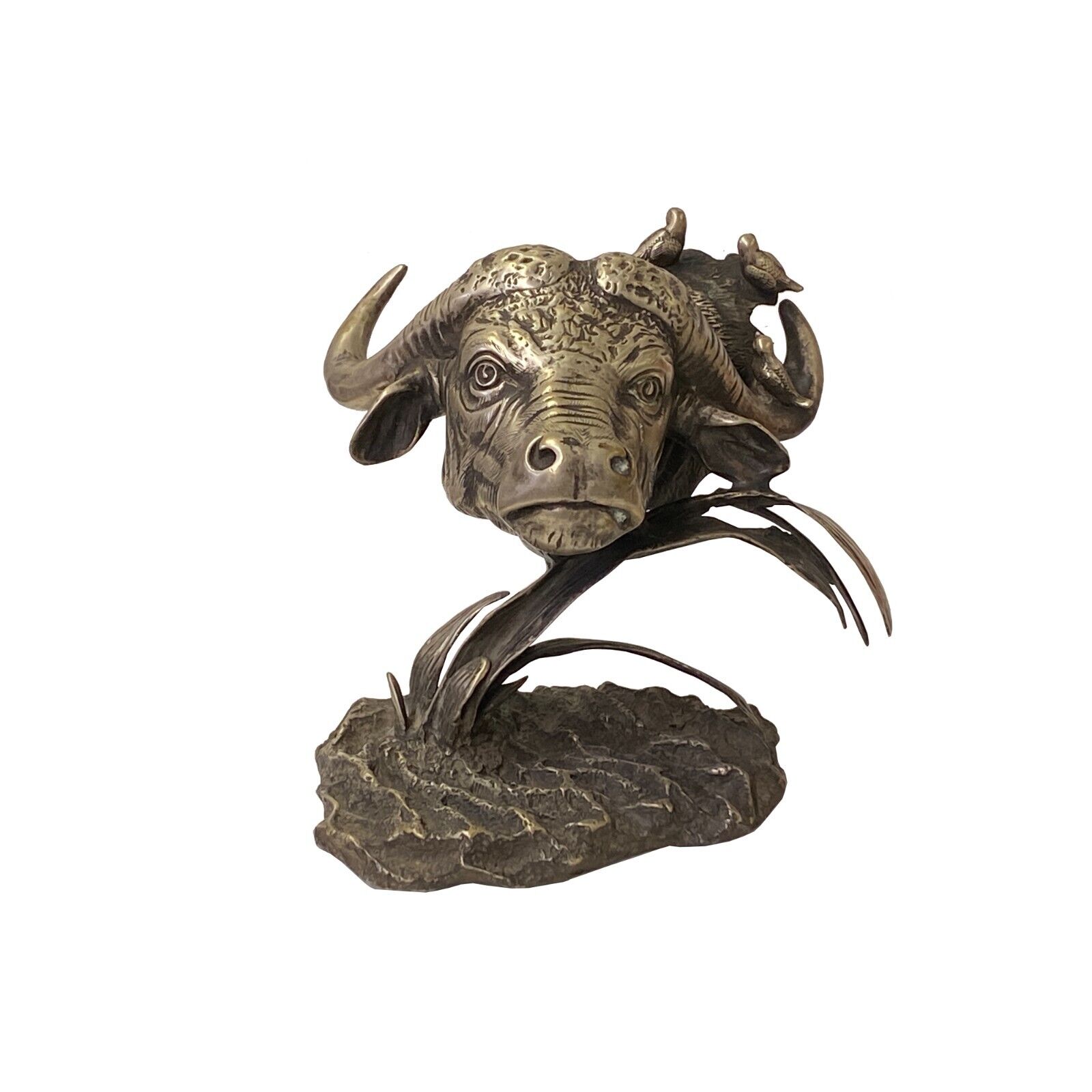 Handmade Artistic Silver Color Coating Buffalo Head Display Figure ws3769