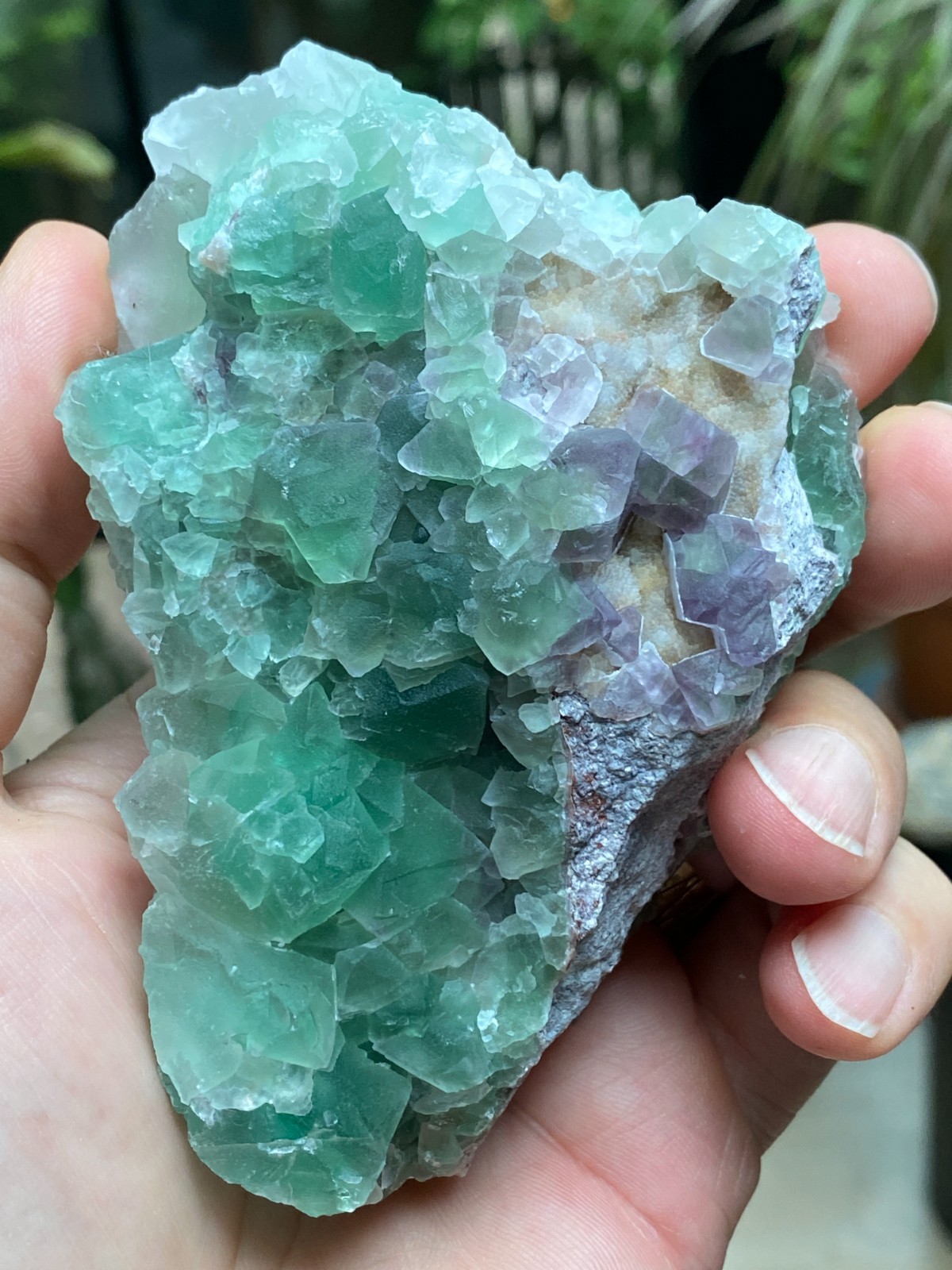 FLUORITE Last Chance Mine, Gila Fluorspar District, Grant County, New Mexico