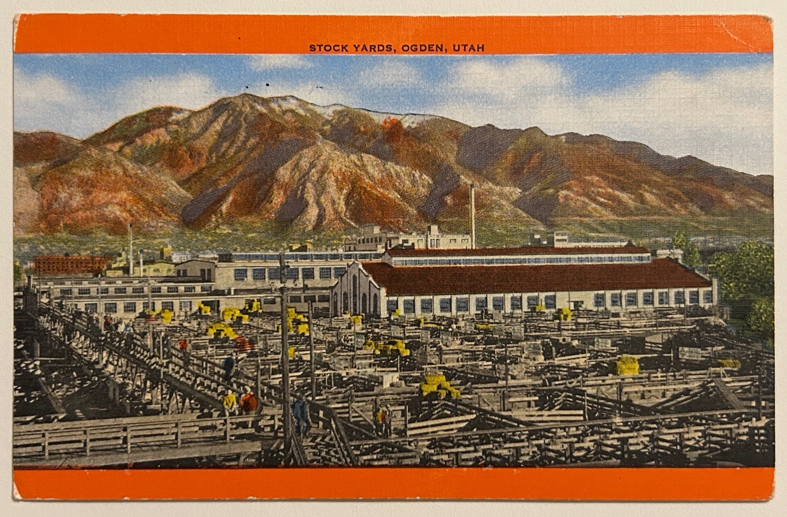 Stock Yards Ogden, Utah 1956 Linen Postcard