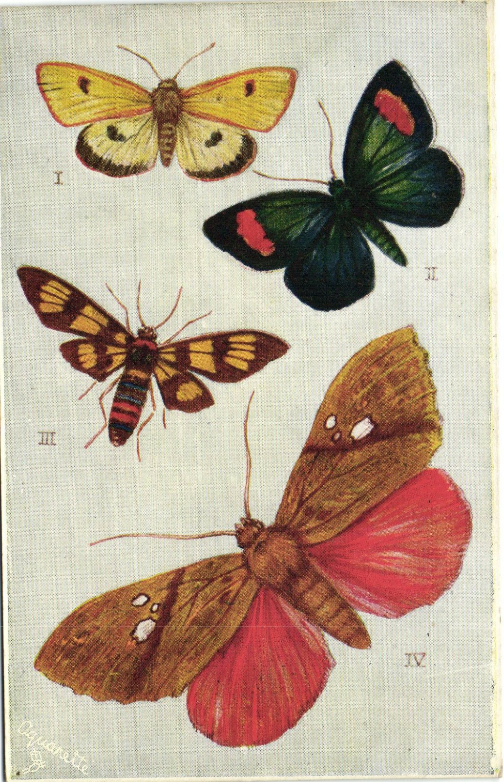 PC R. J. WEALTHY, ARTIST SIGNED, BUTTERFLIES, TUCK\'S, Vintage Postcard (b38587)